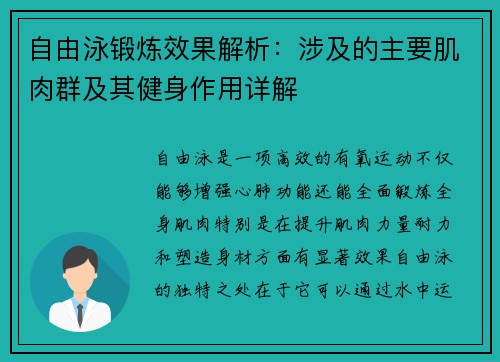 自由泳锻炼效果解析：涉及的主要肌肉群及其健身作用详解